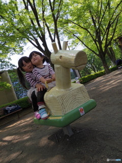 姉妹