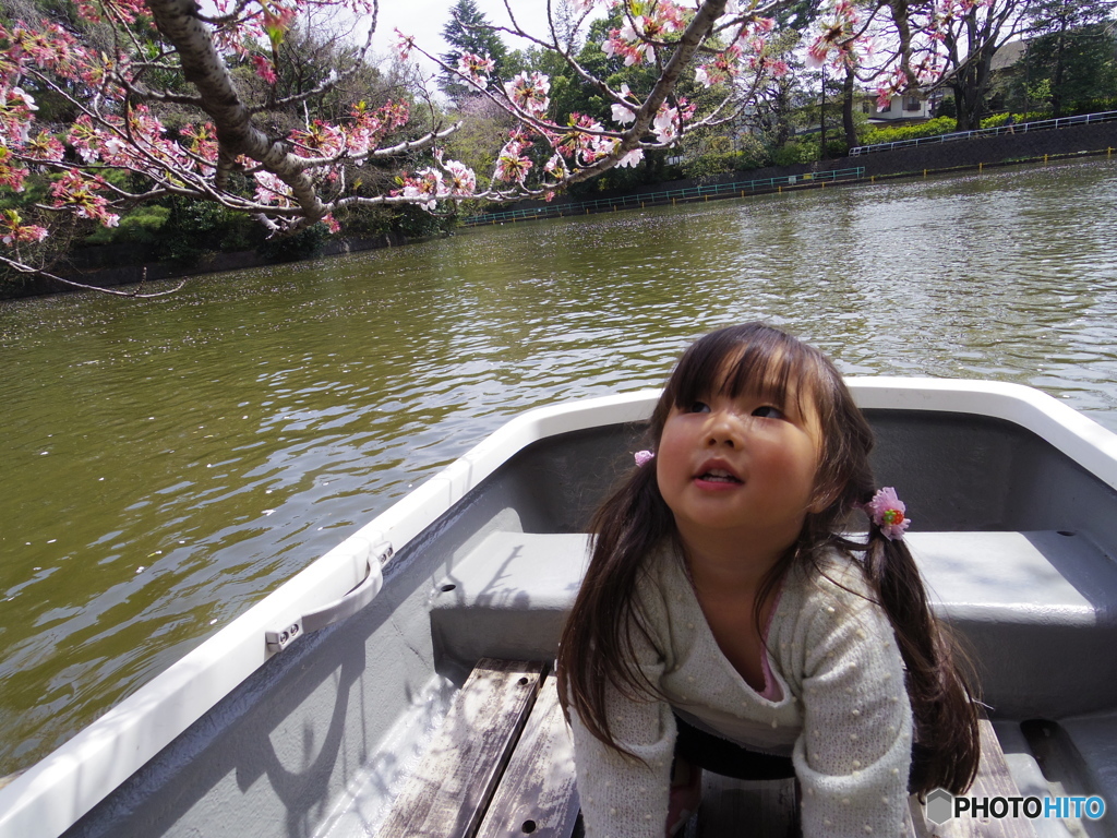 船上からの花見