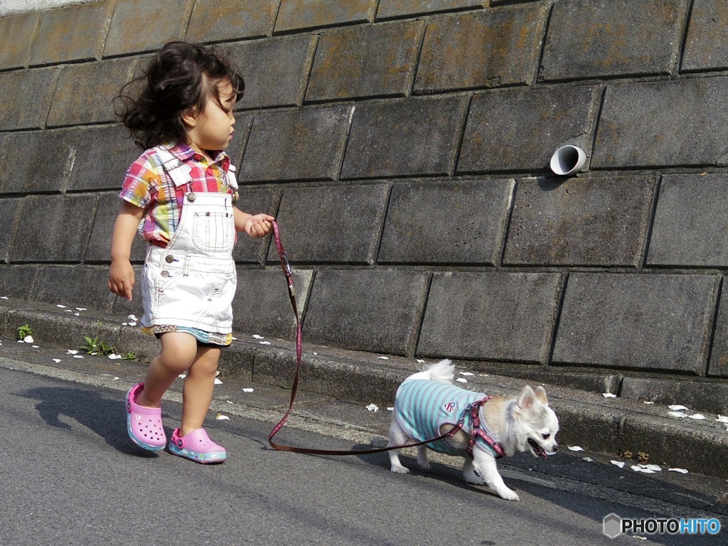 はじめてのお散歩