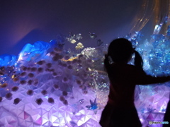 幻華‐1