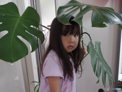 雨宿り