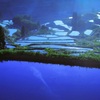 朝日を浴びて