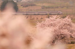 陽春