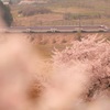 陽春