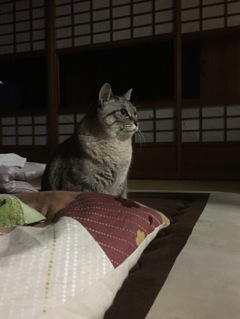 あっ！帰ってきた！
