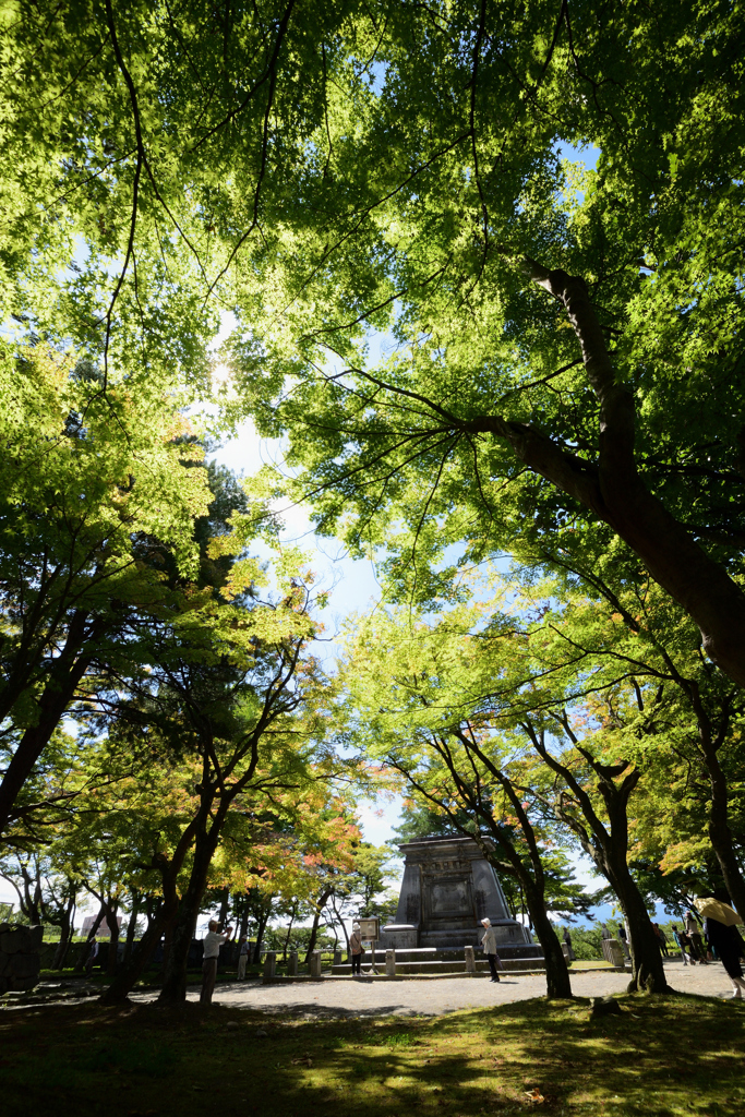 秋の入り口
