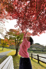 手を伸ばして