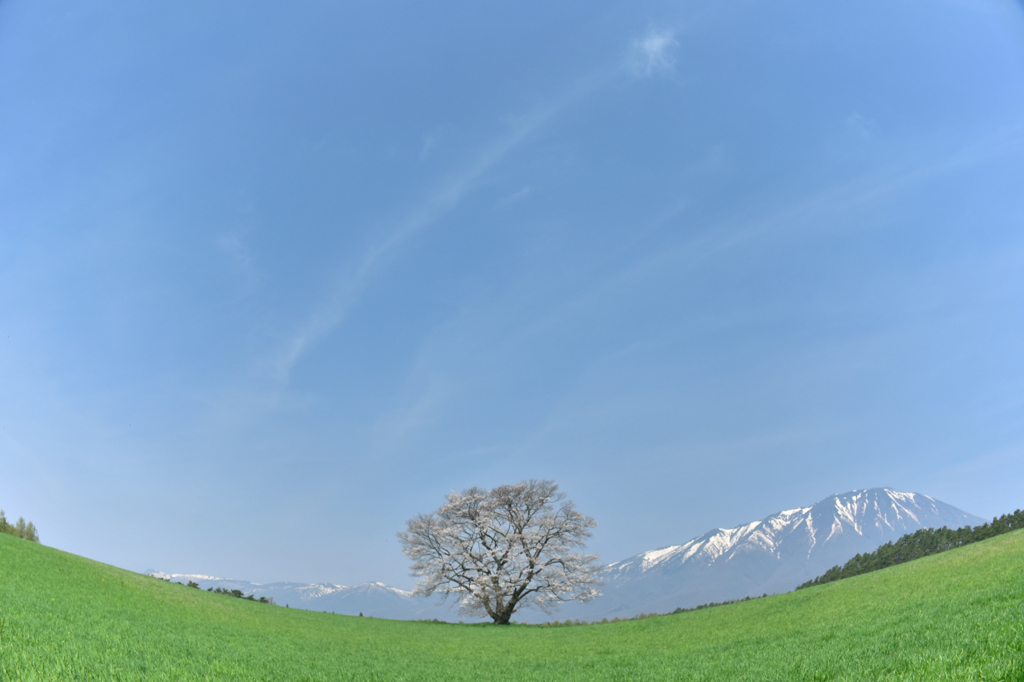 風