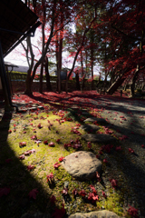 紅組終盤戦