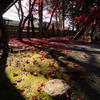 紅組終盤戦