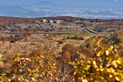 廃墟