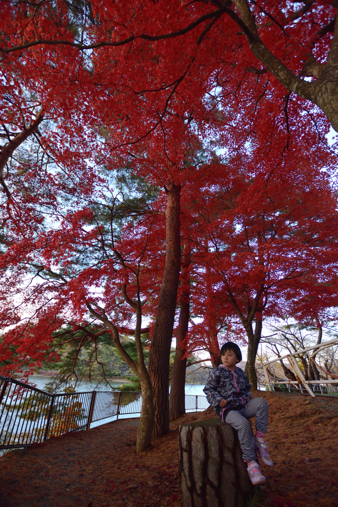 紅葉記念に(笑)