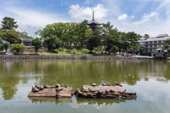 猿沢池