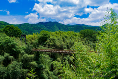 田舎のつり橋