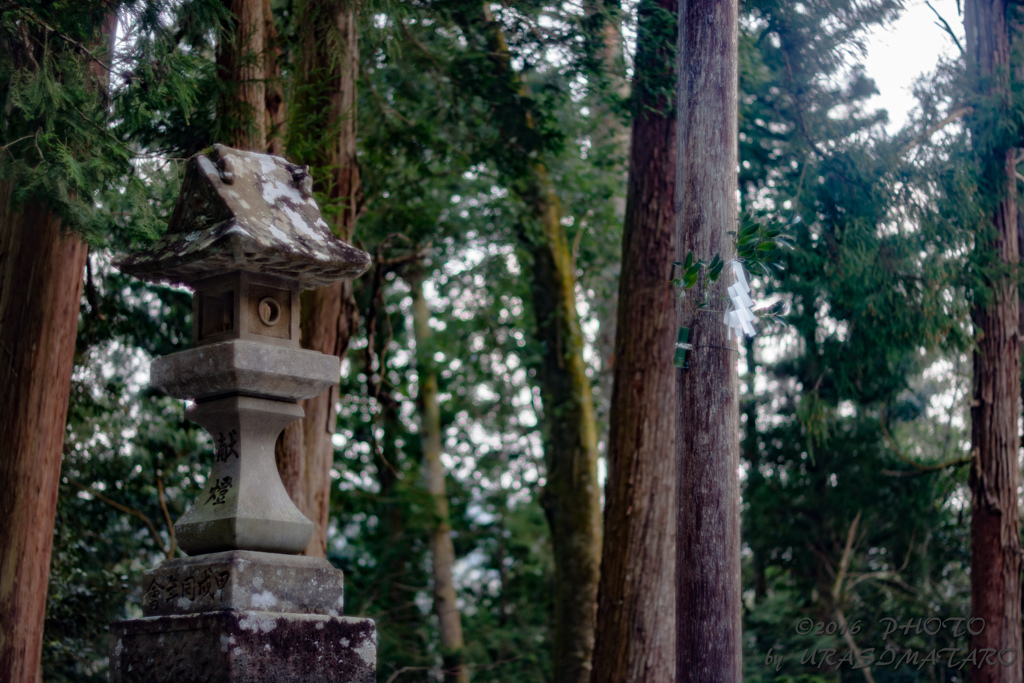 近所の神社にて～