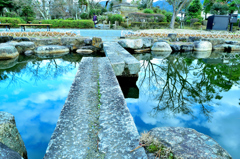 池の中の空