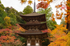 西明寺