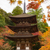西明寺
