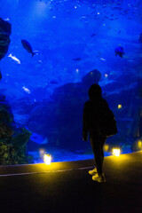 京都水族館