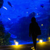 京都水族館