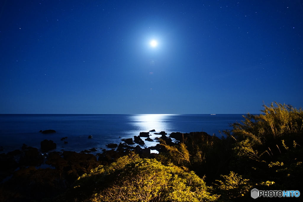 太平洋に注ぐ光