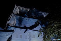 夜の小田原城