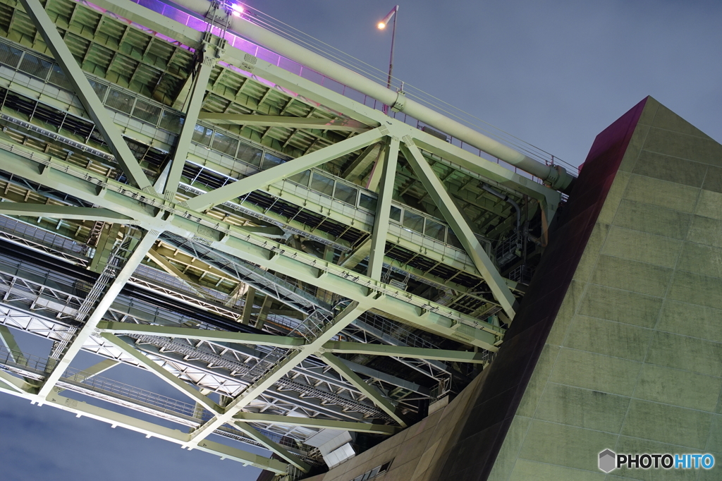 競輪選手の太もものような。