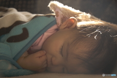 眠る我が娘