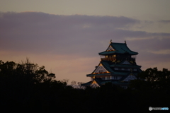 黄金に輝く