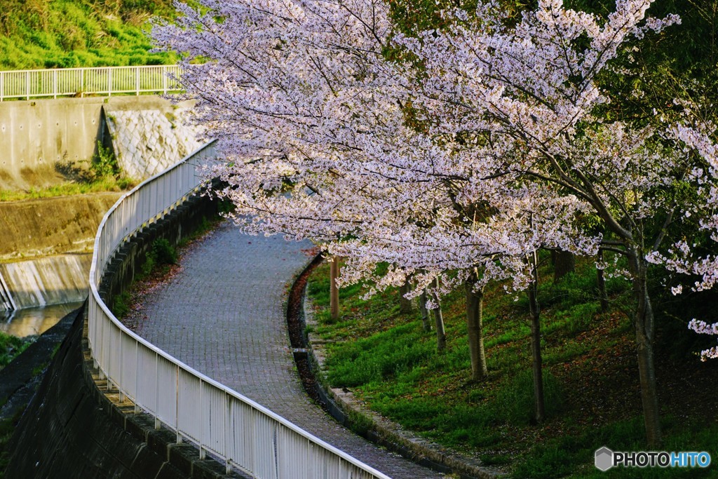 近くにもこんな場所があったんだね