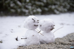 雪だるま作〜ろう〜♫