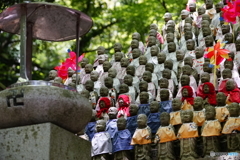 見守る