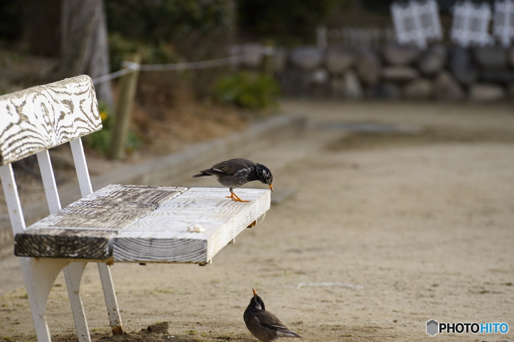 ロミオとジュリエット