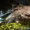 夜桜と電車