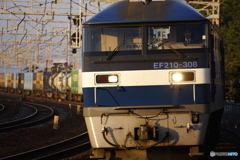 EF210-308