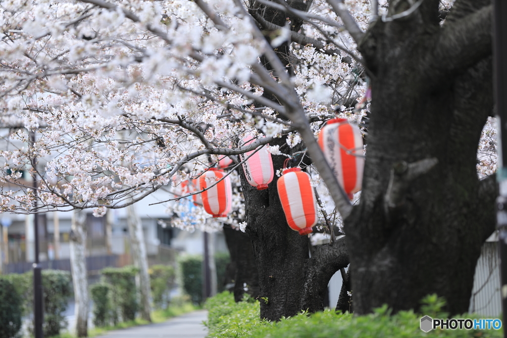 週末には。。。