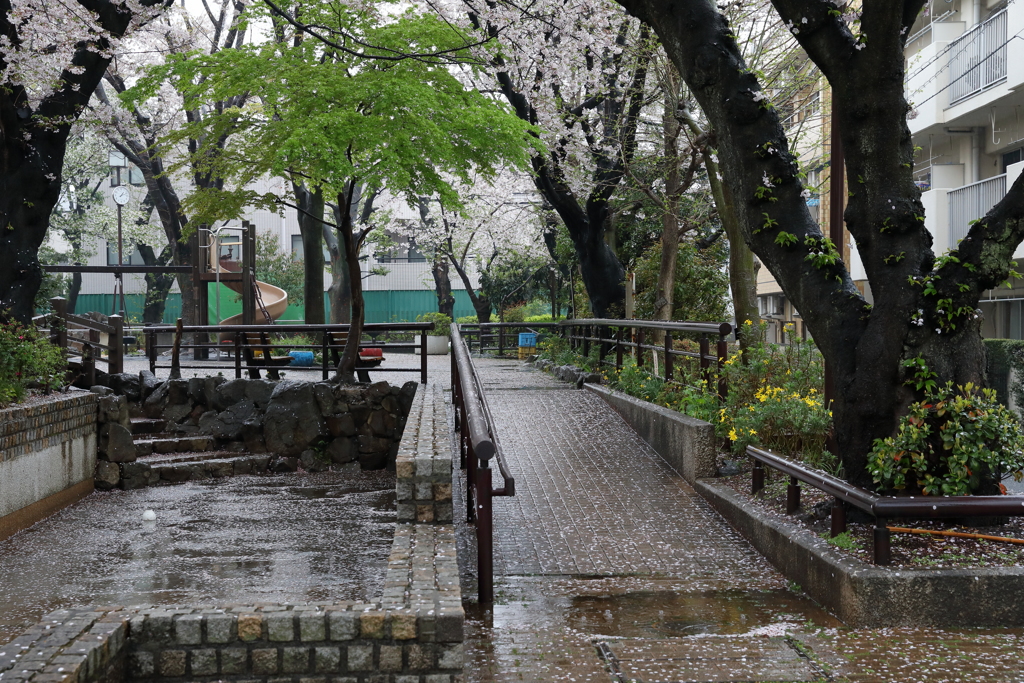 東京は雨で。。