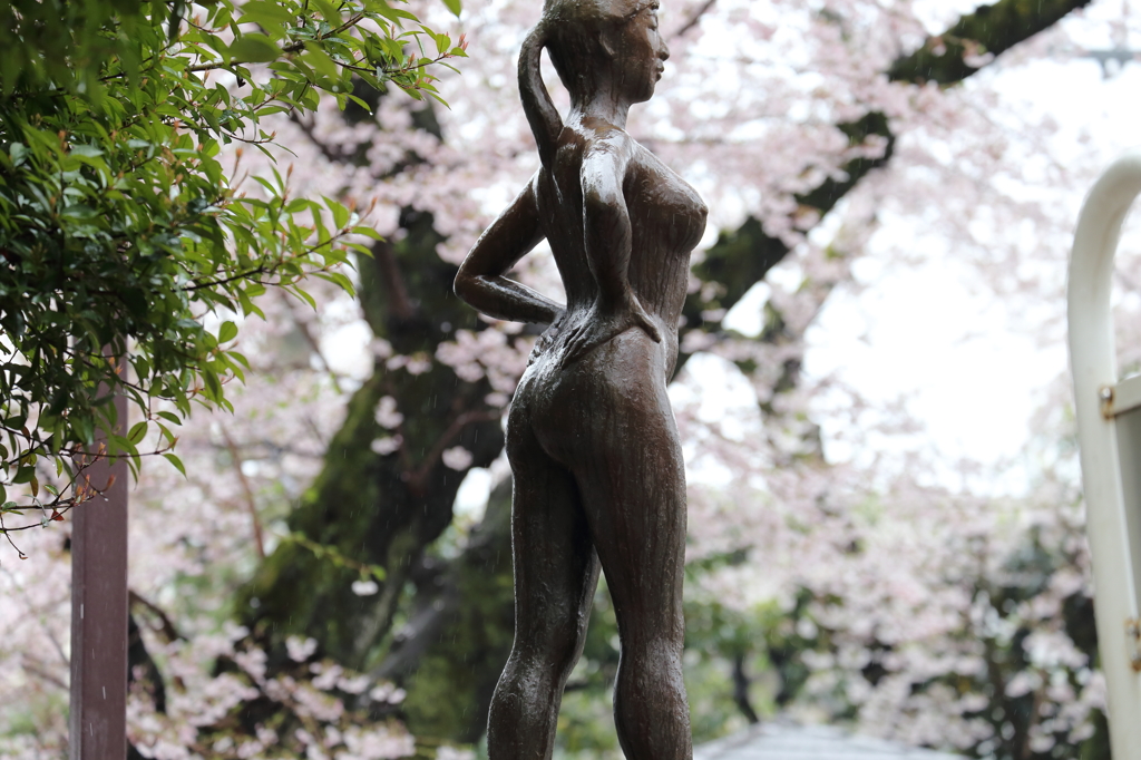 君に逢いたくて。。