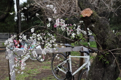 さぁ、出かけようw