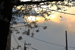 夕焼け空と。