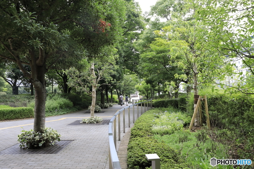 束の間の。。