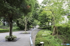 束の間の。。
