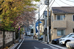 夕日が似合う街。