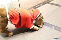 だれ?