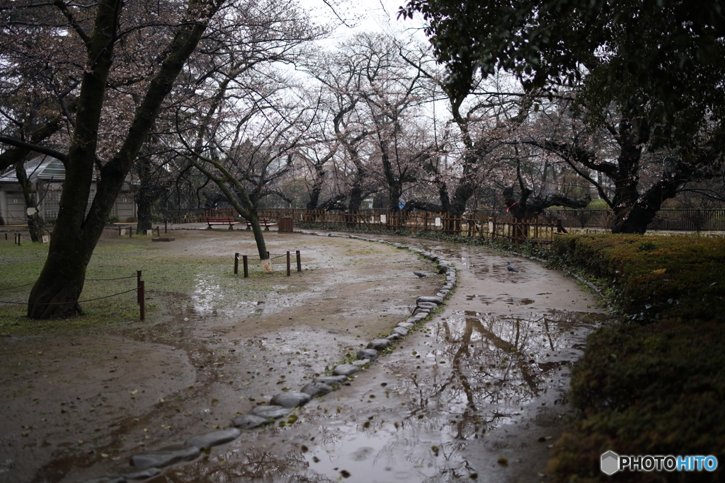 雪が止んだら。。