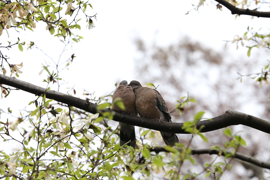 おい、やめろよ！　人が見てるじゃないか。。