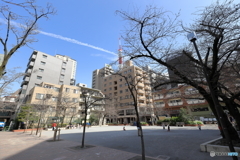 日課　その３