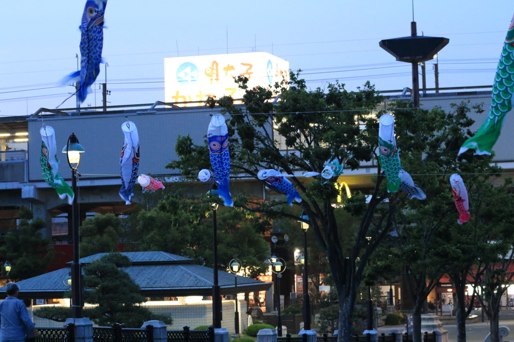 踊る。