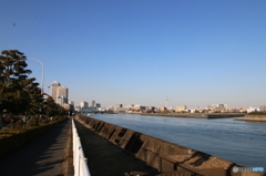 散歩道。