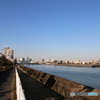 散歩道。